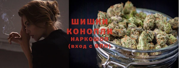 шишки Горно-Алтайск