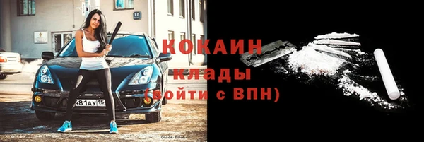 шишки Горно-Алтайск
