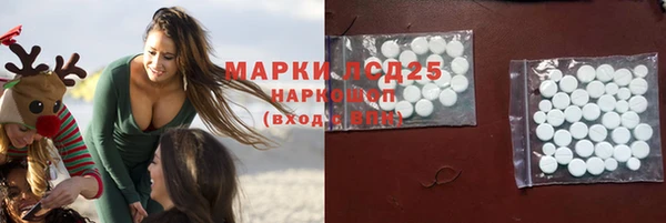 прущий лед Горняк