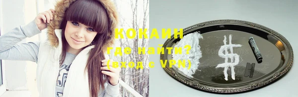 шишки Горно-Алтайск