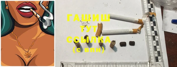 шишки Горно-Алтайск