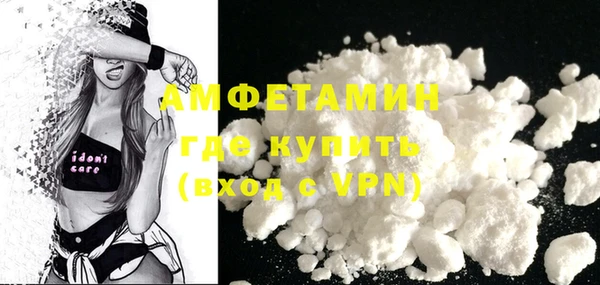 шишки Горно-Алтайск