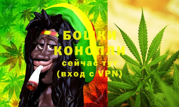 шишки Горно-Алтайск