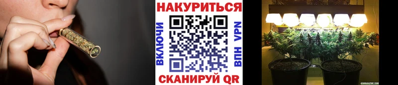 МАРИХУАНА семена  Новый Оскол 